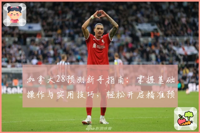 加拿大28预测新手指南：掌握基础操作与实用技巧，轻松开启精准预测旅程