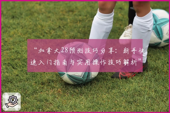 “加拿大28预测技巧分享：新手快速入门指南与实用操作技巧解析”