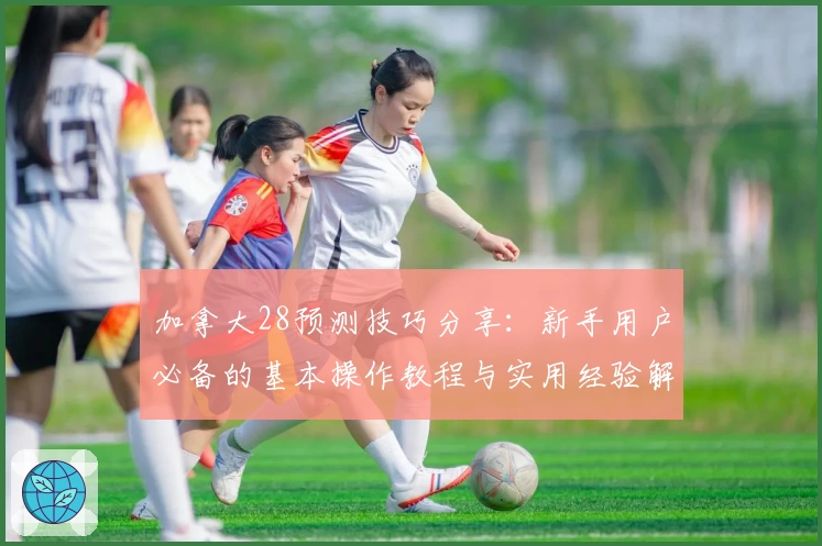 加拿大28预测技巧分享：新手用户必备的基本操作教程与实用经验解析