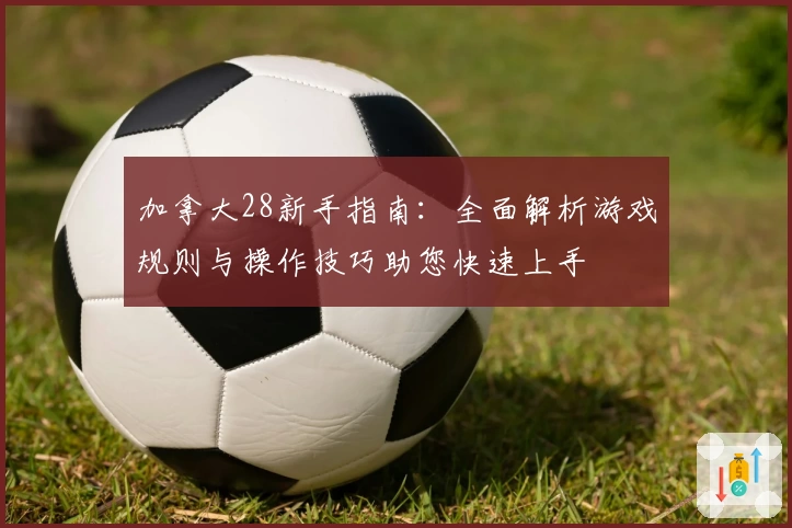 加拿大28新手指南:全面解析游戏规则与操作技巧助您快速上手
