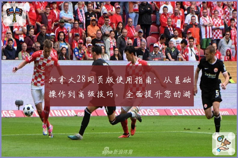 加拿大28网页版使用指南：从基础操作到高级技巧，全面提升您的游戏体验