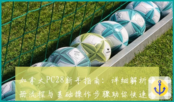 加拿大PC28新手指南：详细解析注册流程与基础操作步骤助你快速上手