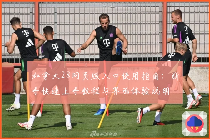 加拿大28网页版入口使用指南：新手快速上手教程与界面体验说明