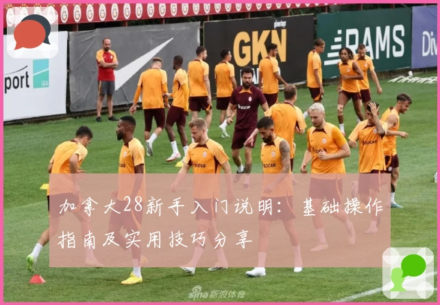 加拿大28新手入门说明：基础操作指南及实用技巧分享