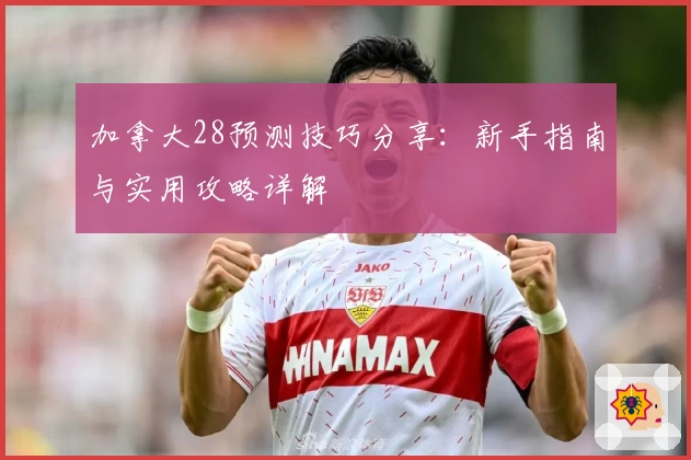 加拿大28预测技巧分享：新手指南与实用攻略详解