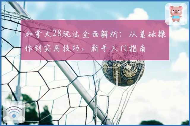 加拿大28玩法全面解析：从基础操作到实用技巧，新手入门指南