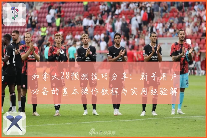 加拿大28预测技巧分享：新手用户必备的基本操作教程与实用经验解析