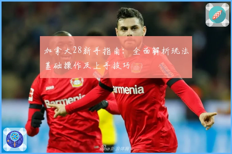 加拿大28新手指南：全面解析玩法基础操作及上手技巧