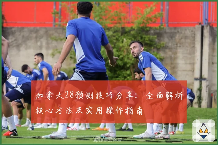 加拿大28预测技巧分享：全面解析核心方法及实用操作指南