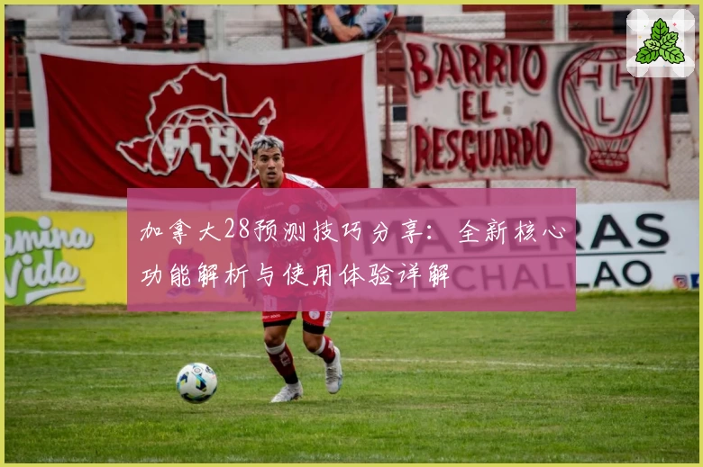 加拿大28预测技巧分享：全新核心功能解析与使用体验详解