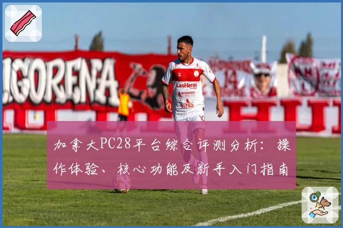 加拿大PC28平台综合评测分析：操作体验、核心功能及新手入门指南解析