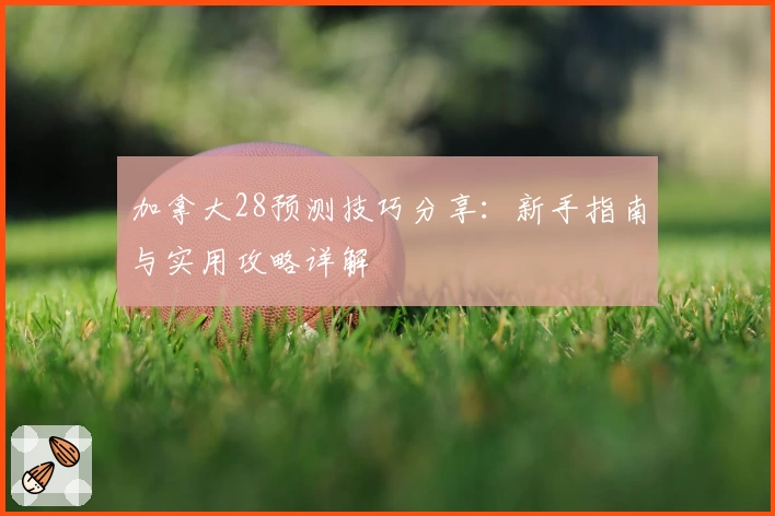 加拿大28预测技巧分享：新手指南与实用攻略详解