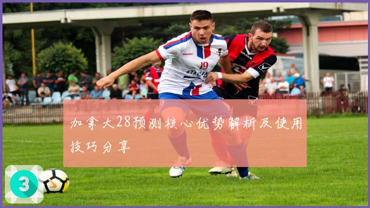 加拿大28预测核心优势解析及使用技巧分享
