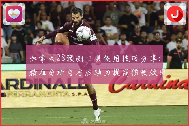 加拿大28预测工具使用技巧分享：精准分析与方法助力提高预测效率