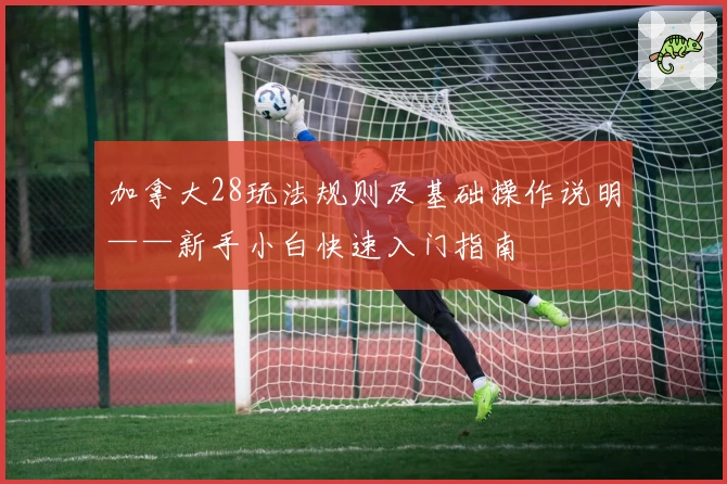 加拿大28玩法规则及基础操作说明——新手小白快速入门指南