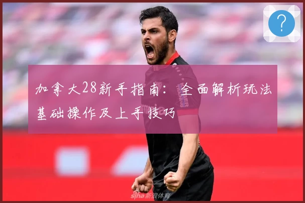 加拿大28新手指南：全面解析玩法基础操作及上手技巧