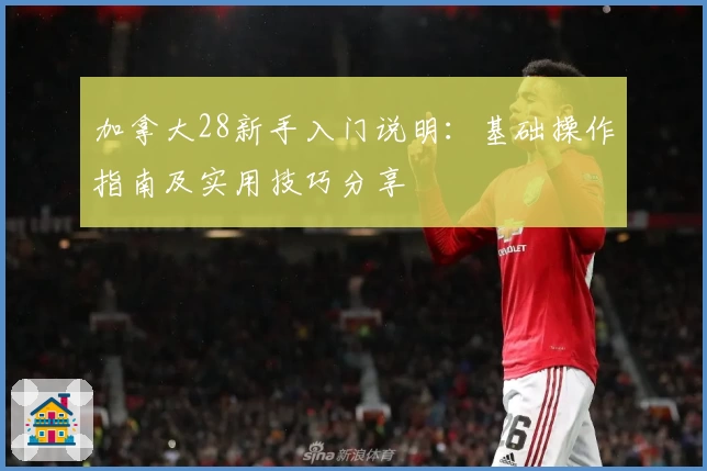 加拿大28新手入门说明：基础操作指南及实用技巧分享